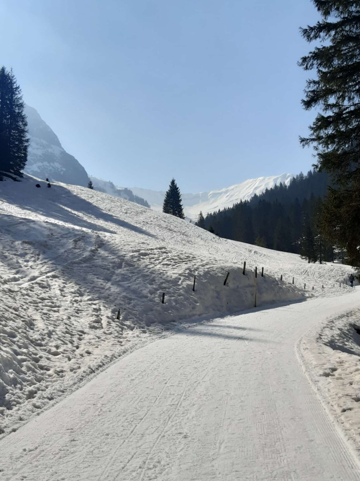 Weihnachtsgrüße 2025